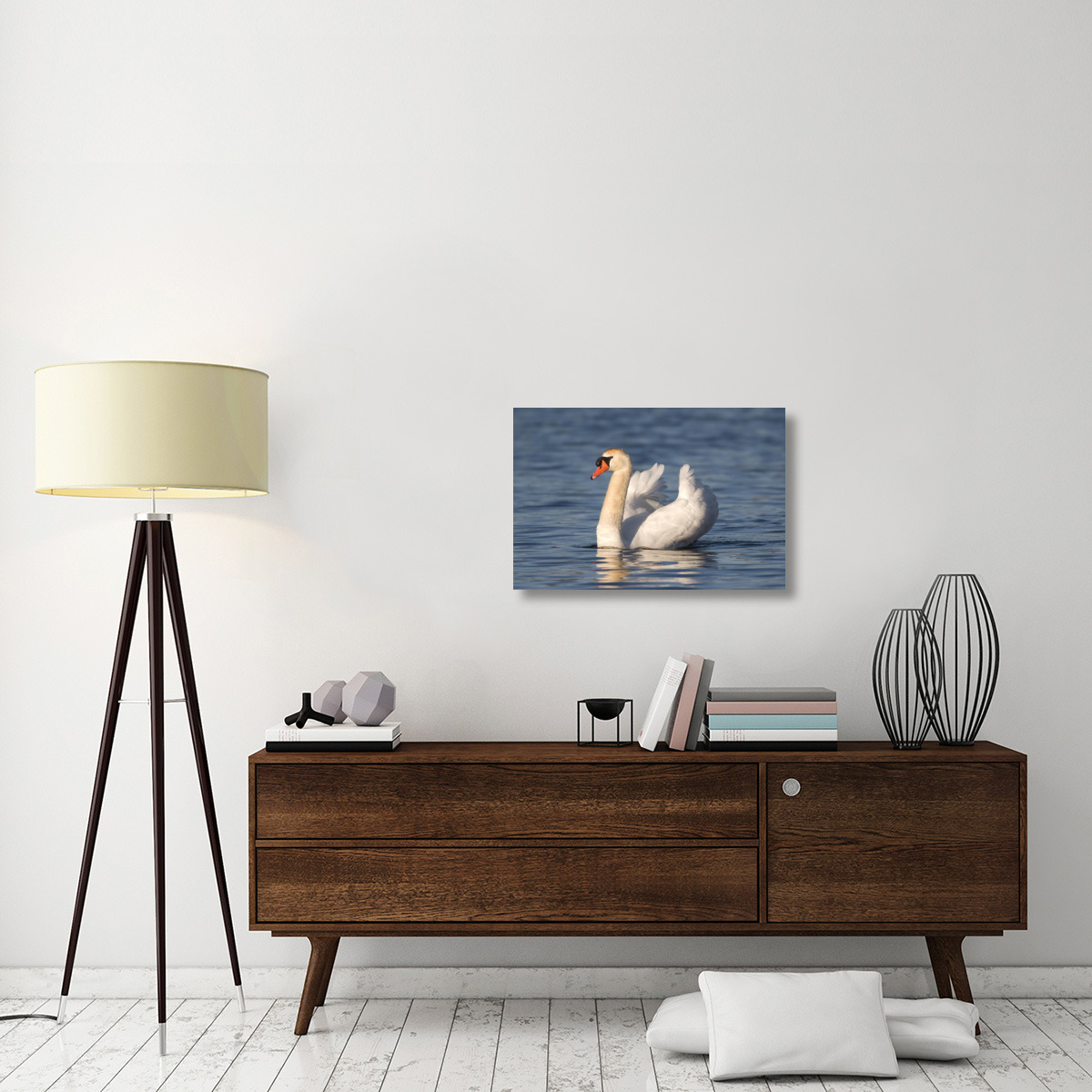 Mute Swan swimming, Kensington Metropark, Milford, Michigan-Canvas Art-30&quotx20"