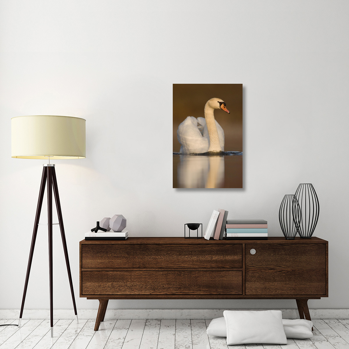 Mute Swan swimming, Kensington Metropark, Milford, Michigan-Canvas Art-24&quotx36"