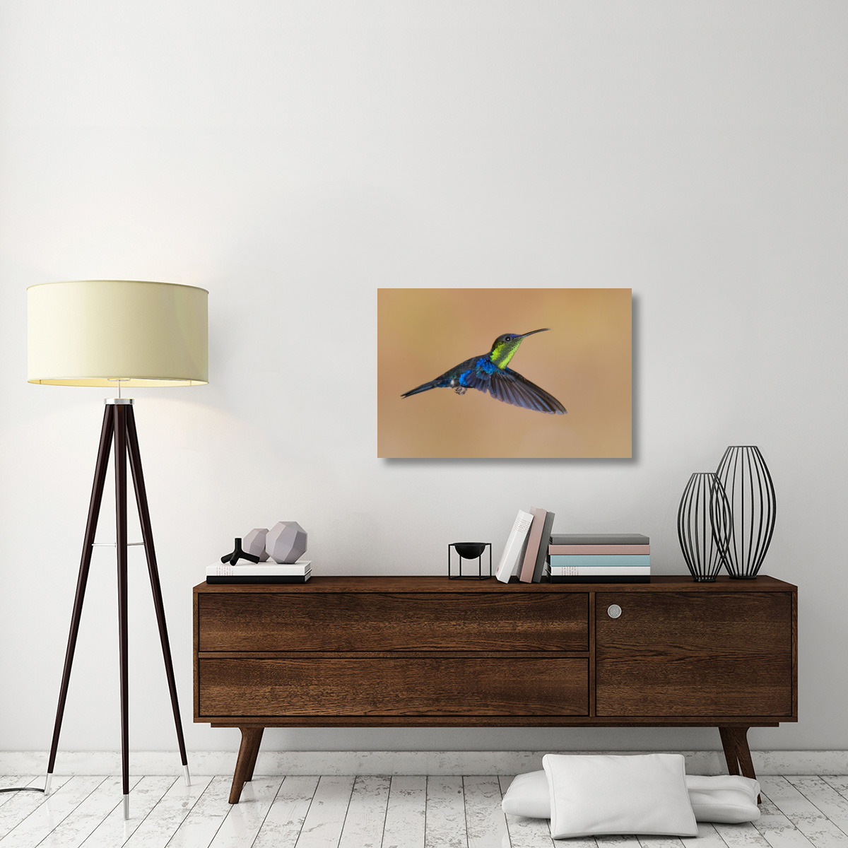 Violet-crowned Woodnymph hummingbird male flying, Costa Rica-Canvas Art-36&quotx24"