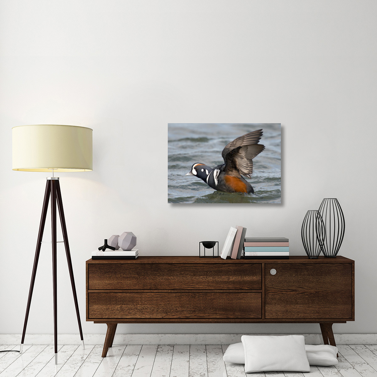 Harlequin Duck male taking flight, Barnegat Light, New Jersey-Canvas Art-36&quotx25.56"