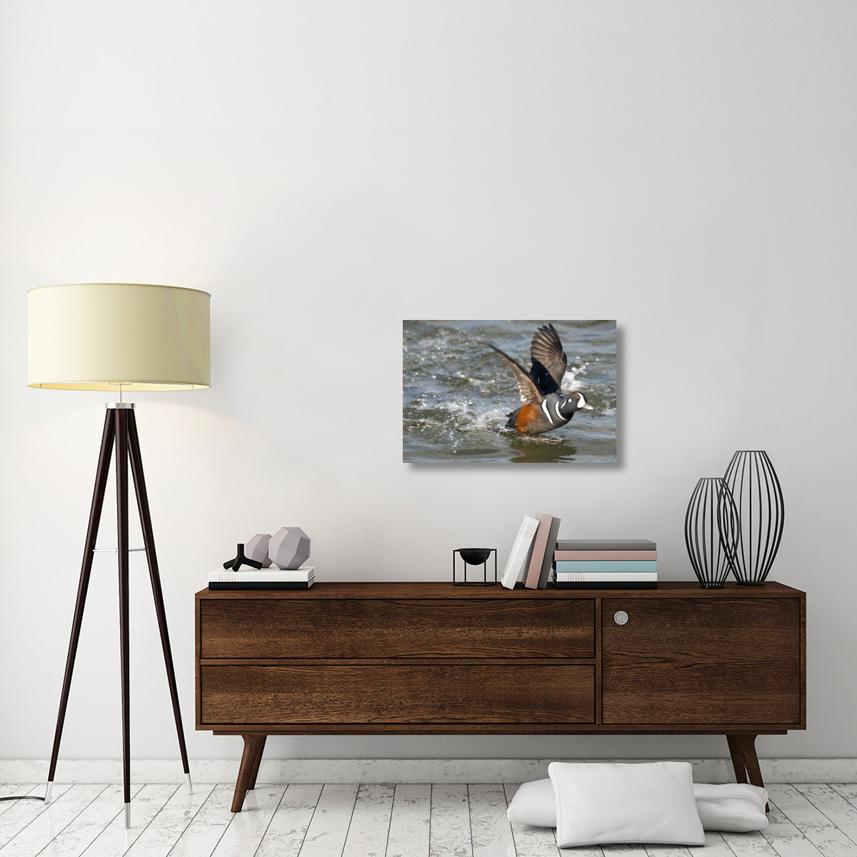 Harlequin Duck male taking flight, Barnegat Light, New Jersey-Canvas Art-30&quotx20"