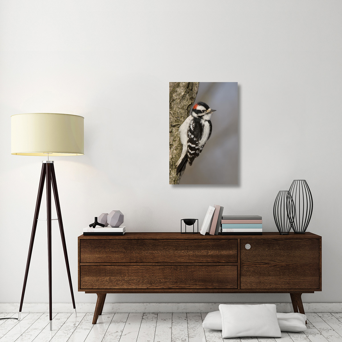 Downy Woodpecker male, Kensington Metropark, Milford, Michigan-Canvas Art-24&quotx36"