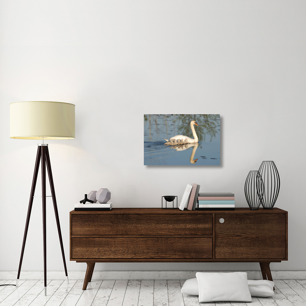 Mute Swan with cygnets, Kensington Metropark, Milford, Michigan-Canvas Art-30&quotx20"