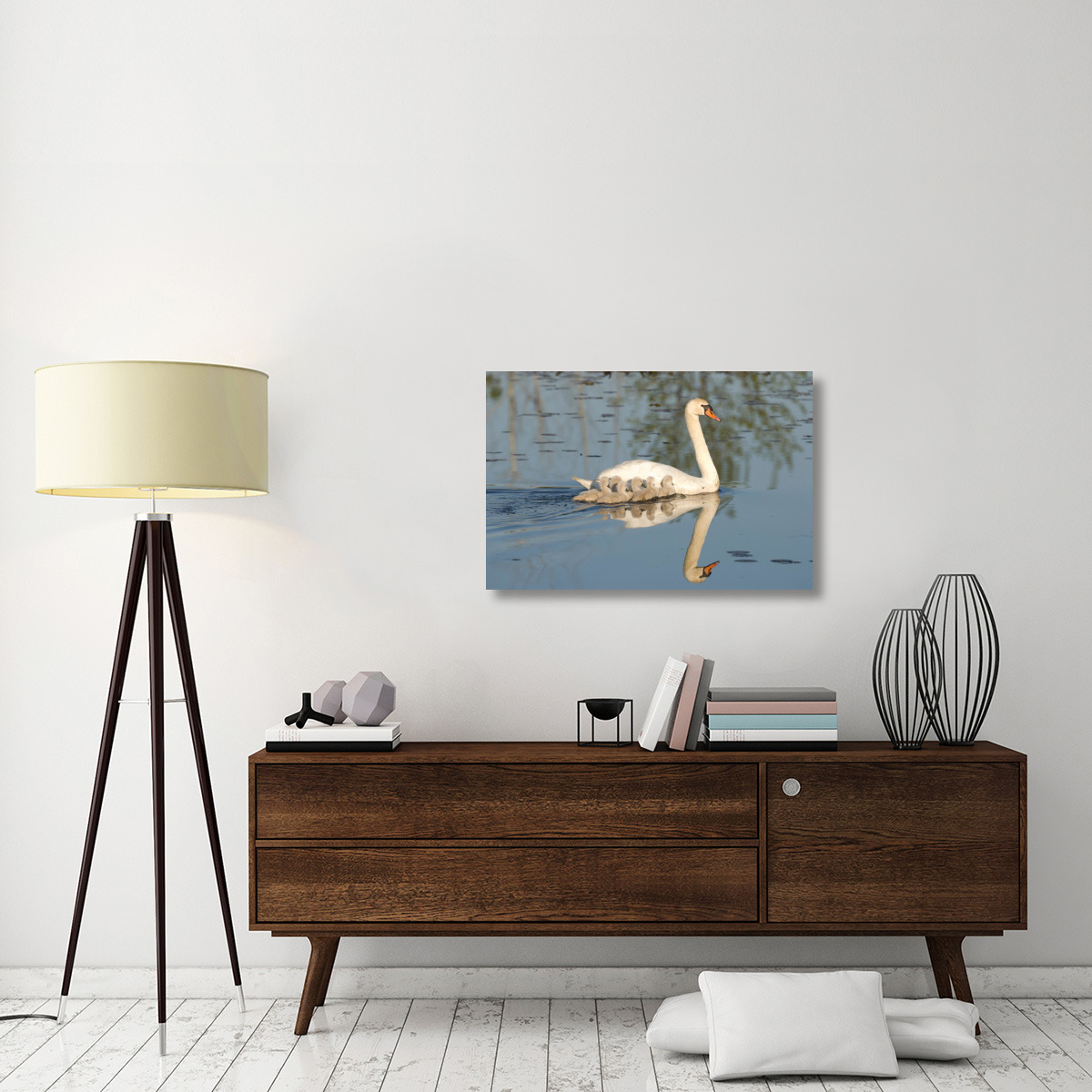 Mute Swan with cygnets, Kensington Metropark, Milford, Michigan-Canvas Art-36&quotx24"