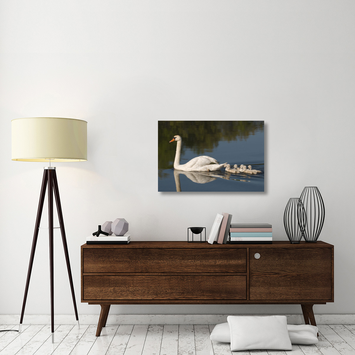 Mute Swan with cygnets, Kensington Metropark, Milford, Michigan-Canvas Art-36&quotx24"