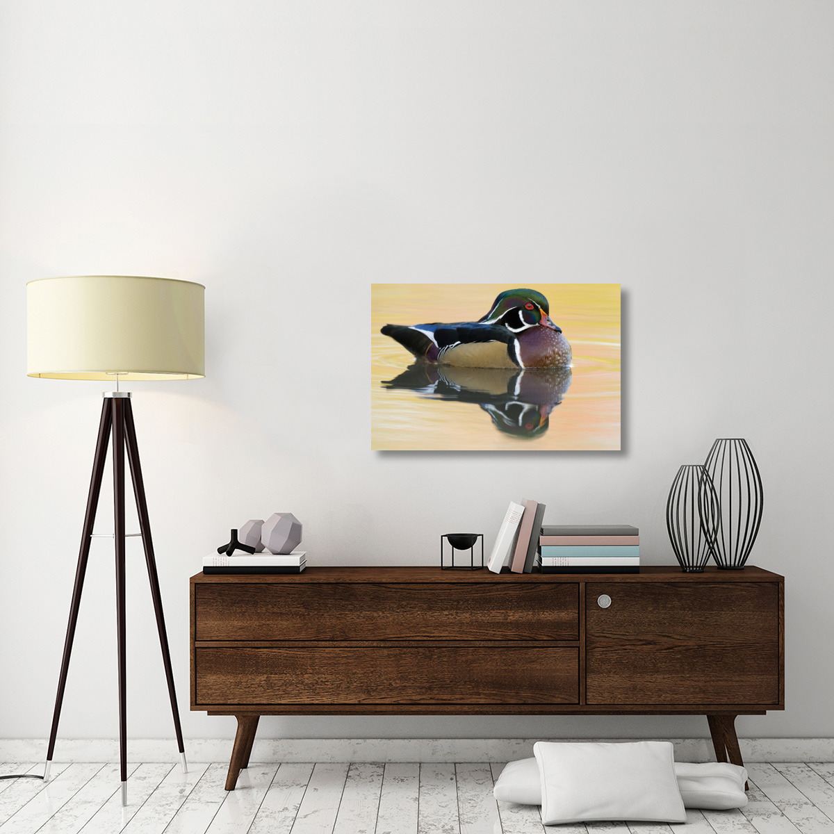 Wood Duck male in breeding plumage, Lapeer State Game Area, Michigan-Canvas Art-36&quotx24"