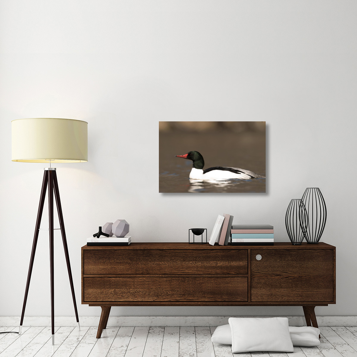 Common Merganser male swimming, Kensington Metropark, Milford, Michigan-Canvas Art-36&quotx24"