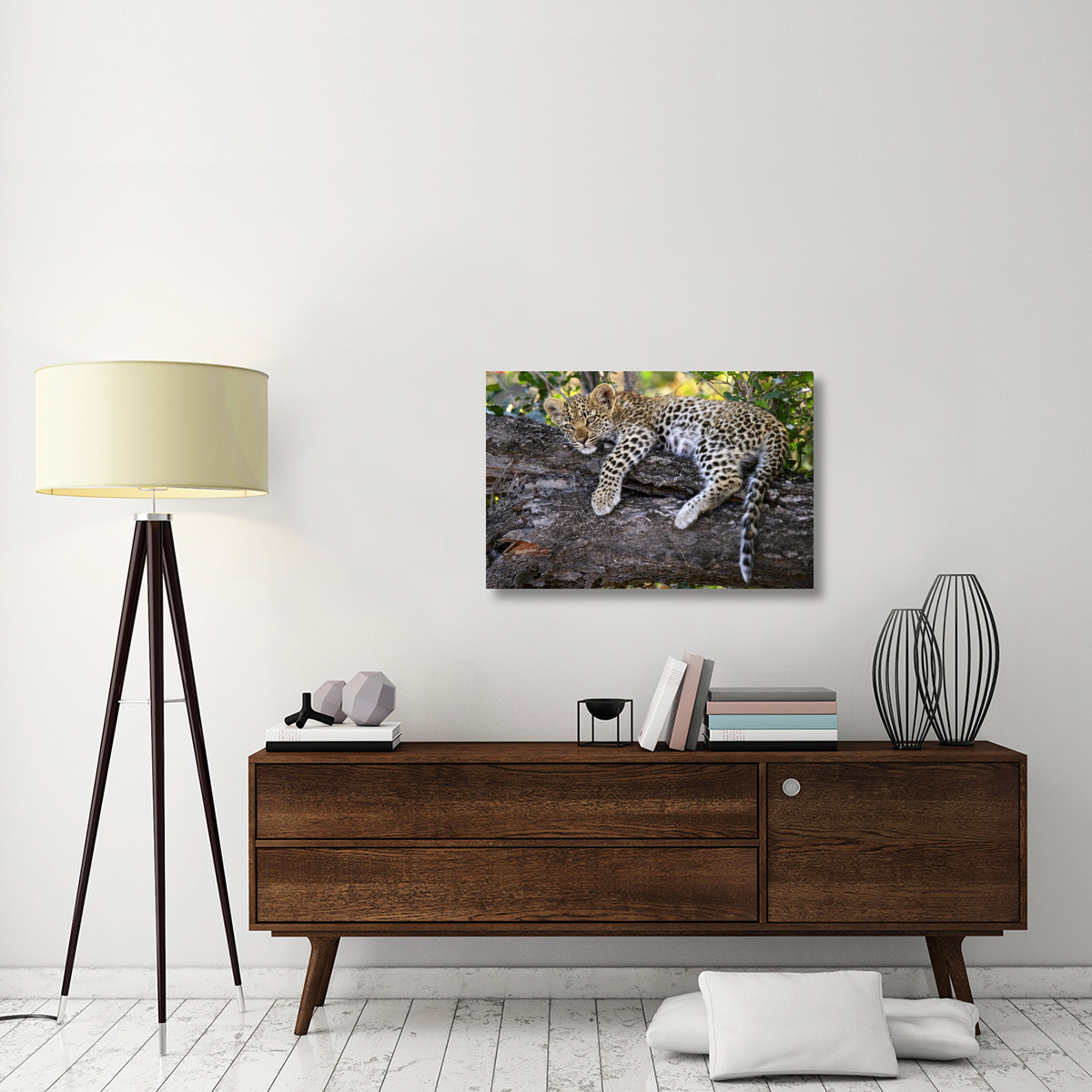 Leopard cub resting in tree, Botswana-Canvas Art-36&quotx24"