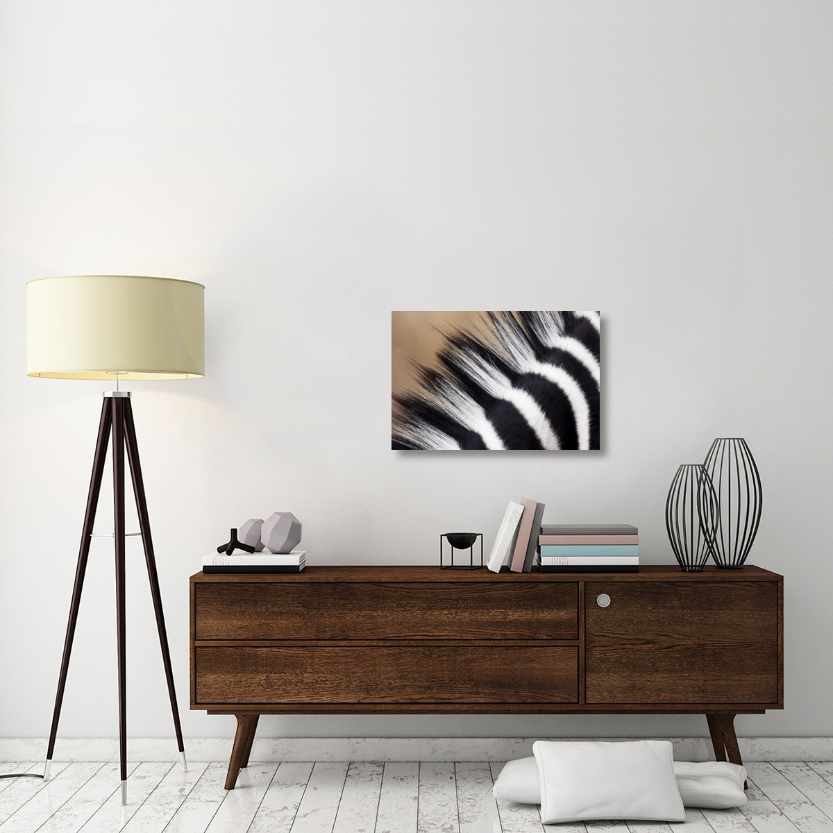 Zebra mane, Khama Rhino Sanctuary, Serowe, Botswana-Canvas Art-30&quotx20"