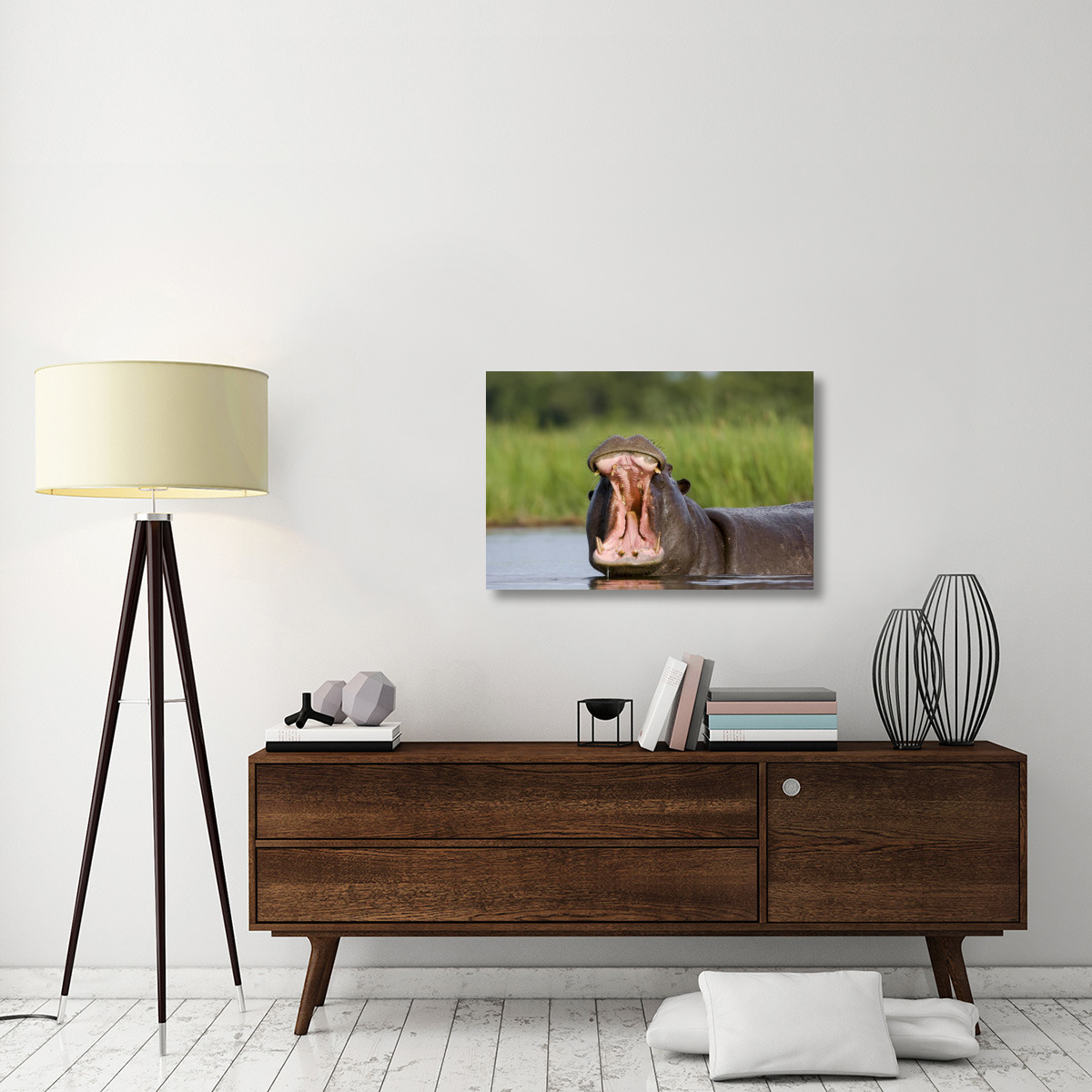 Hippopotamus male displaying, Moremi Game Reserve, Okavango Delta, Botswana-Canvas Art-36&quotx24"