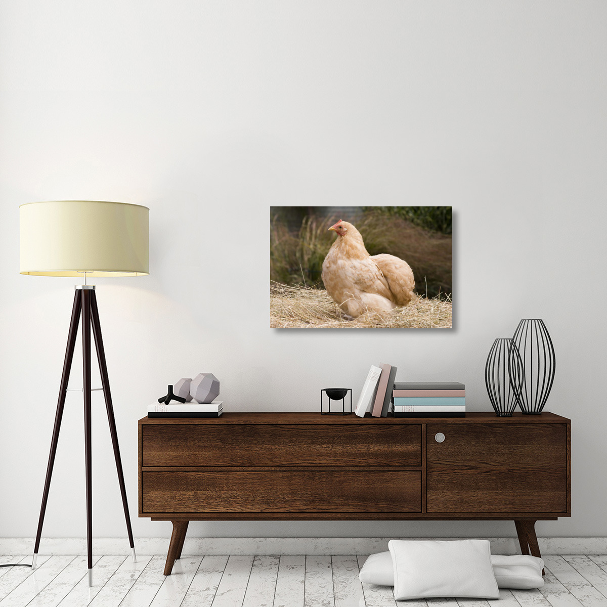 Domestic Chicken, Lemon Pekin Bard hen-Canvas Art-36&quotx24"