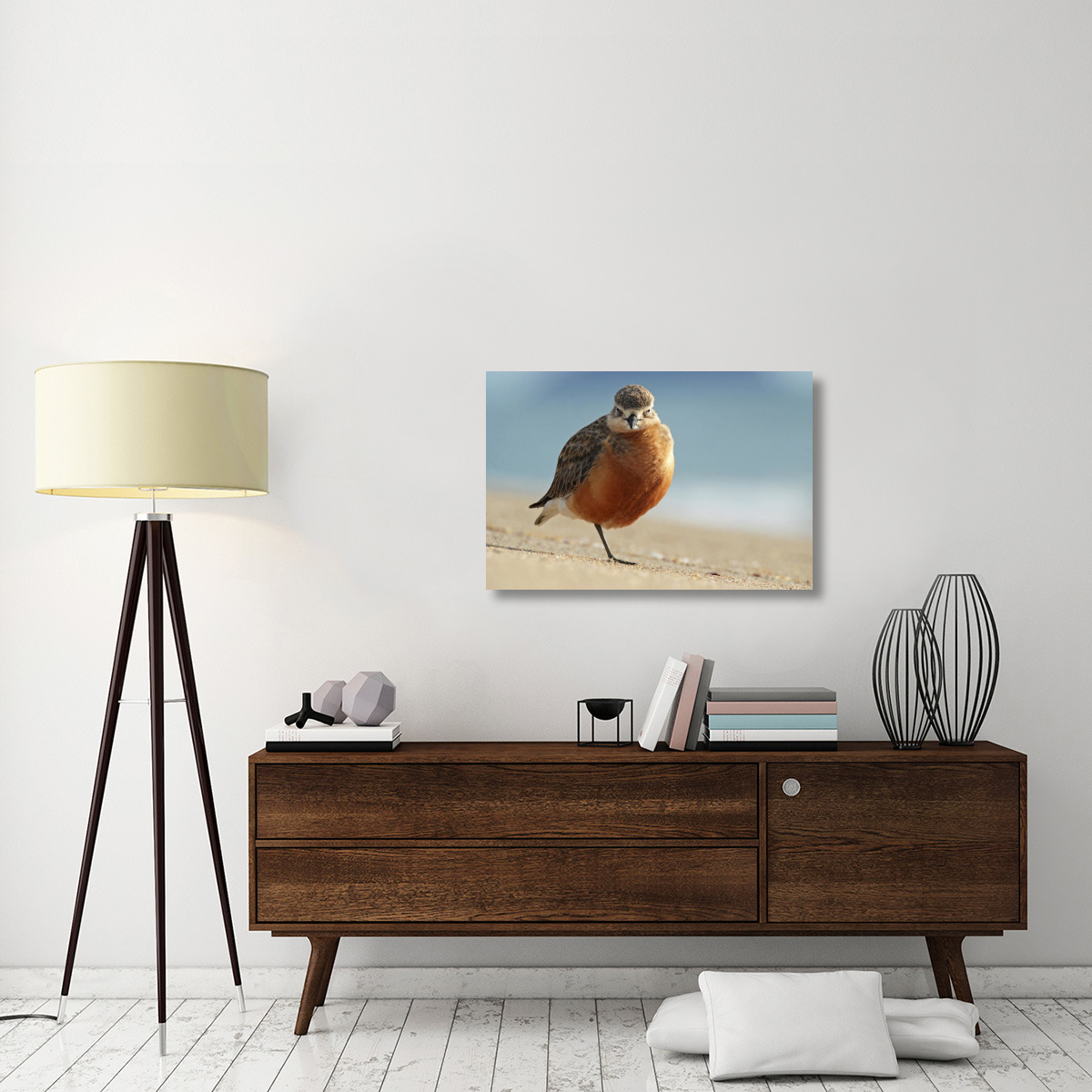 Red-breasted Plover, Coromandel Peninsula, New Zealand-Canvas Art-36&quotx24"