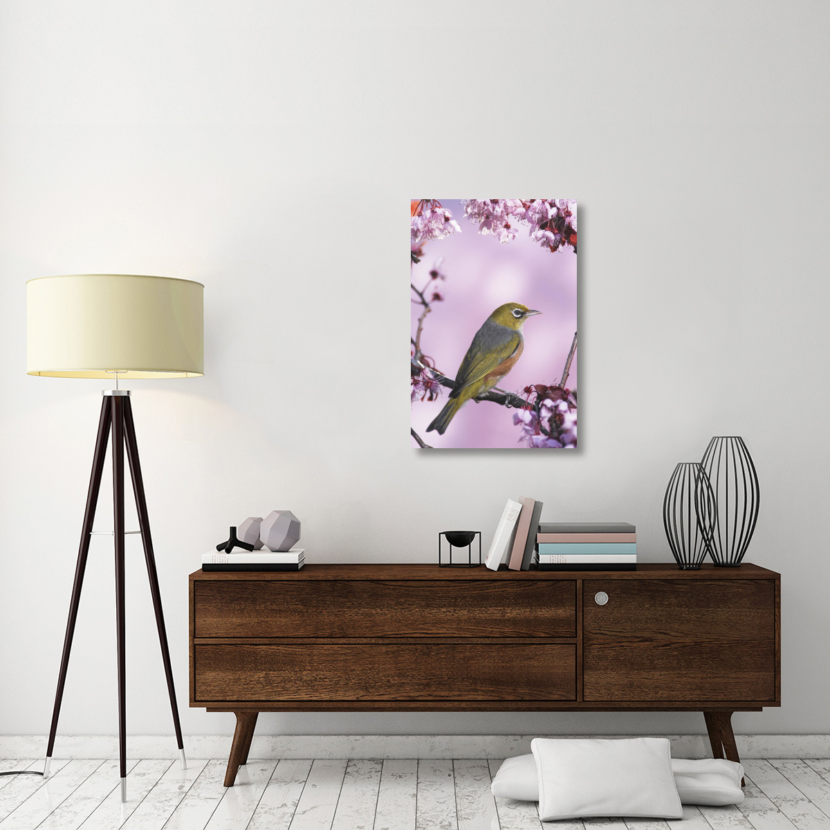 Silvereye on cherry blossom in spring, Christchurch, New Zealand-Canvas Art-24&quotx36"