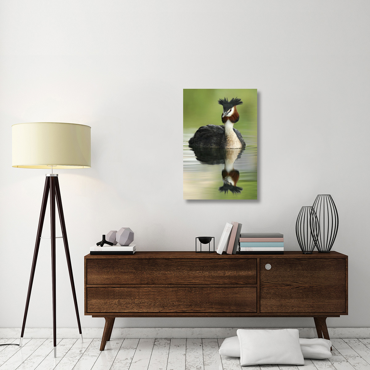 Great Crested Grebe in breeding plumage, Lake Alexandrina, New Zealand-Canvas Art-24&quotx36"