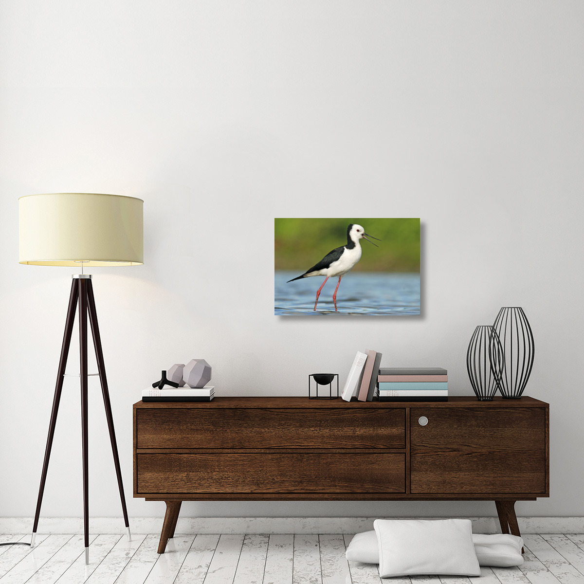 Black-winged Stilt calling, Avon Heathcote Estuary, Christchurch, New Zealand-Canvas Art-30&quotx20"