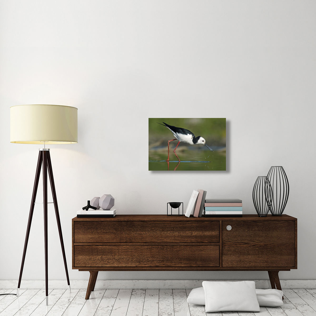 Black-winged Stilt foraging, Avon Heathcote Estuary, Christchurch, New Zealand-Canvas Art-30&quotx20"