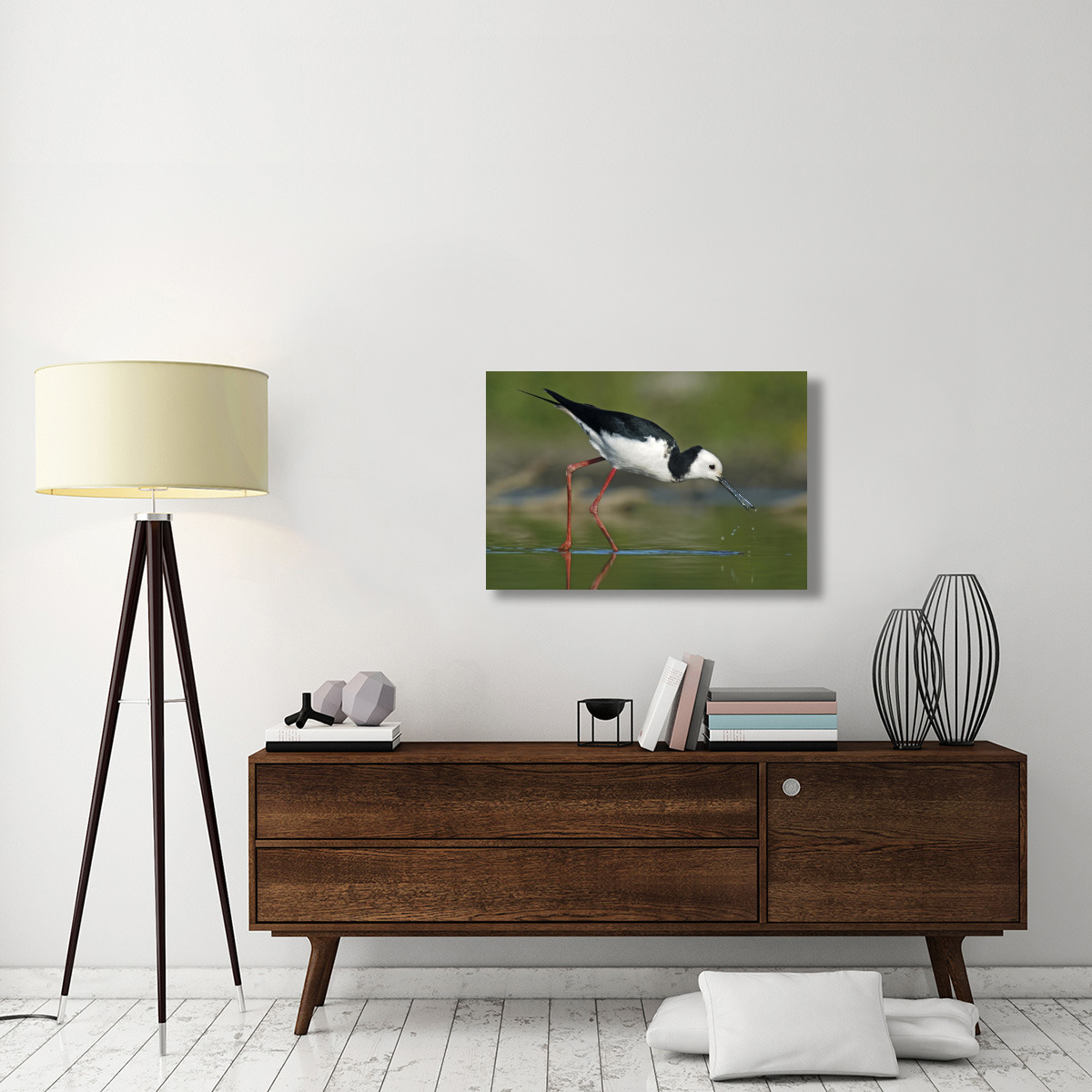 Black-winged Stilt foraging, Avon Heathcote Estuary, Christchurch, New Zealand-Canvas Art-36&quotx24"