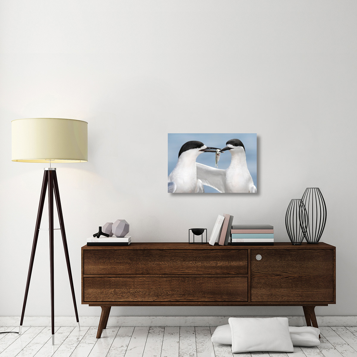 White-fronted Tern in courtship display, Avon Heathcote Estuary, Christchurch, New Zealand-Canvas Art-30&quotx20"