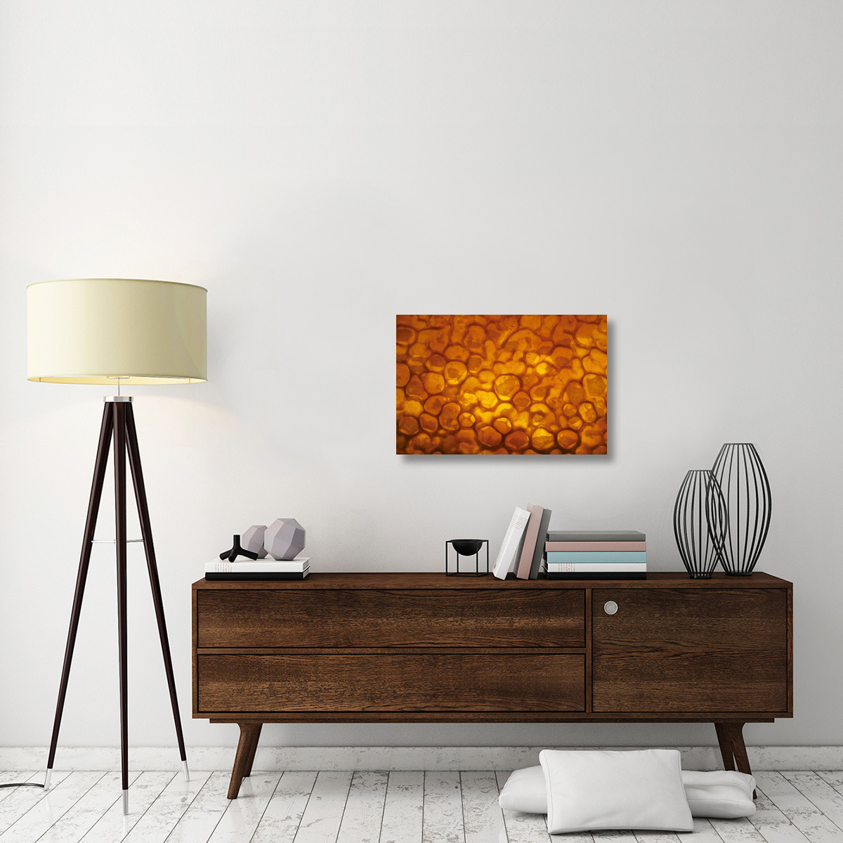 Honeycomb cells filled with honey and covered by wax, Bee Station at the Bavarian Julius-Maximilians-University of Wurzburg, Germany-Canvas Art-30&quotx20"