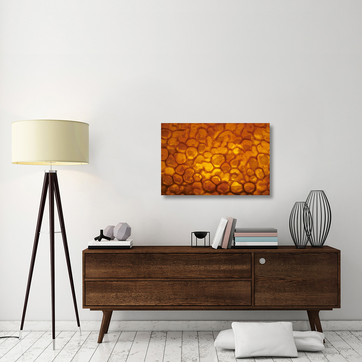 Honeycomb cells filled with honey and covered by wax, Bee Station at the Bavarian Julius-Maximilians-University of Wurzburg, Germany-Canvas Art-36&quotx24"