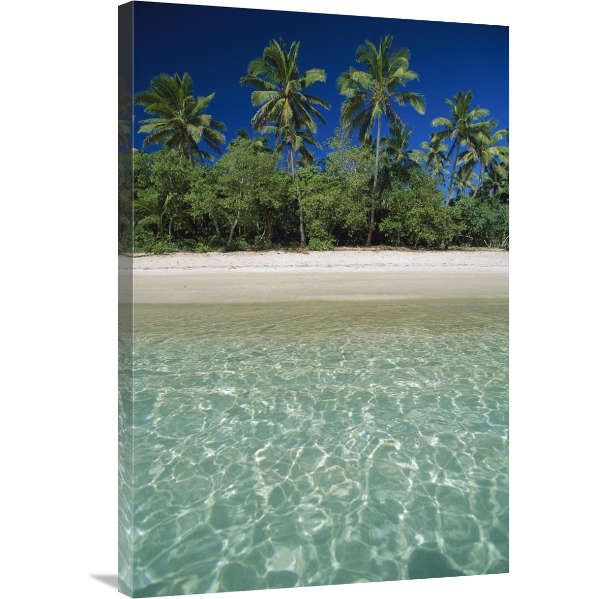 Tropical scene with palm trees, Uoleva Island, Ha&quotapai Group, Tonga-Canvas Art-24&quotx36"