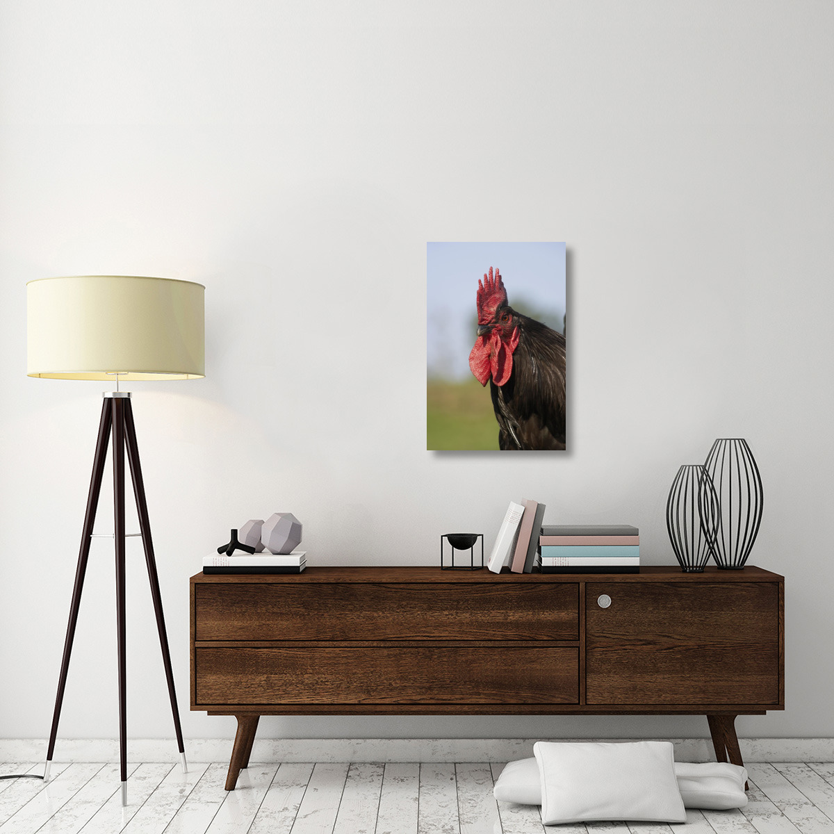 Domestic Chicken, close-up of cockerel head-Canvas Art-20&quotx30"