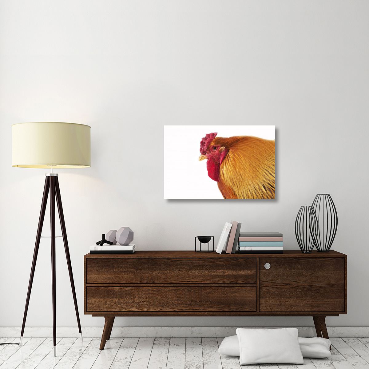 Domestic Chicken, Partridge Brahma, cockerel, close-up of head-Canvas Art-36&quotx24"