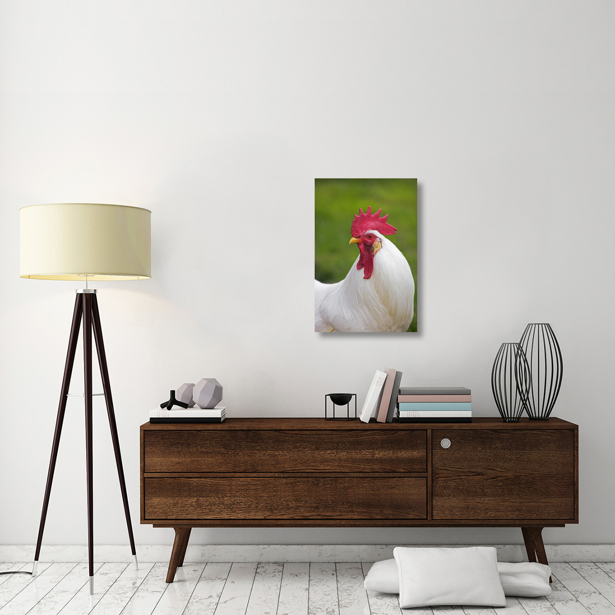 Domestic Chicken, White Leghorn, cockerel, close-up of head and neck, France-Canvas Art-20&quotx30"