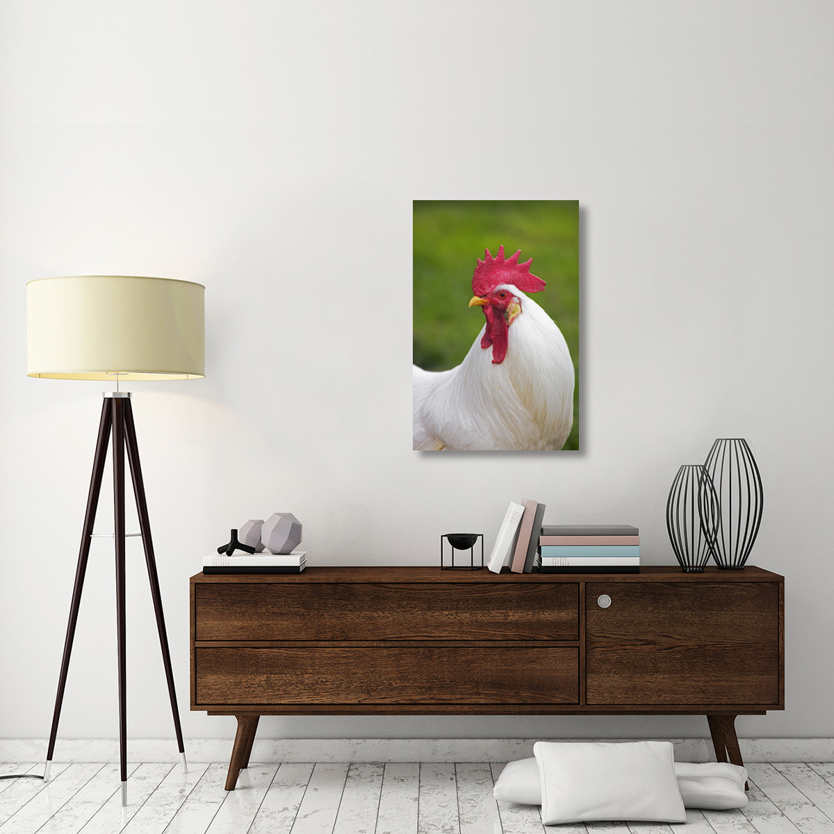 Domestic Chicken, White Leghorn, cockerel, close-up of head and neck, France-Canvas Art-24&quotx36"