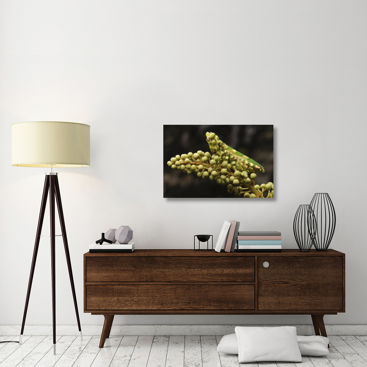 Mantis on Pitcher Plant-Canvas Art-36&quotx24"