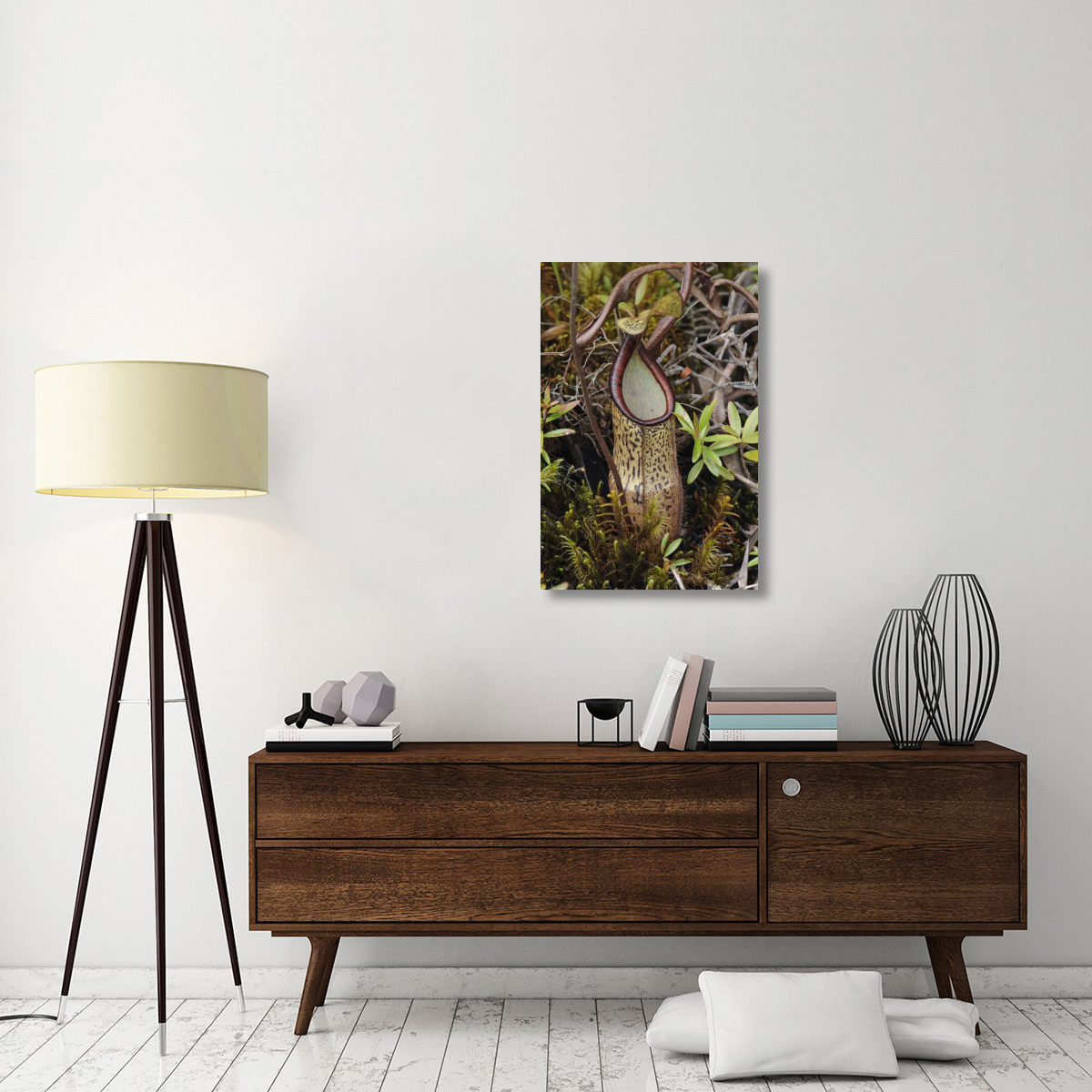 Pitcher Plant pitcher, Kelantan, Malaysia-Canvas Art-24&quotx36"