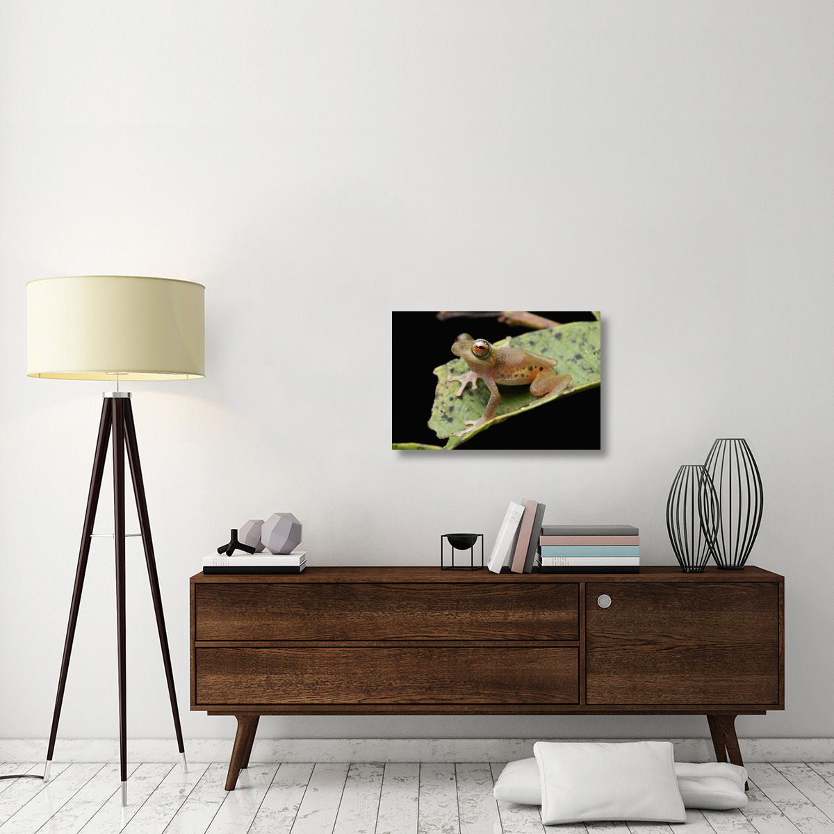 Masked Treefrog, Sarawak, Borneo, Malaysia-Canvas Art-30&quotx20"