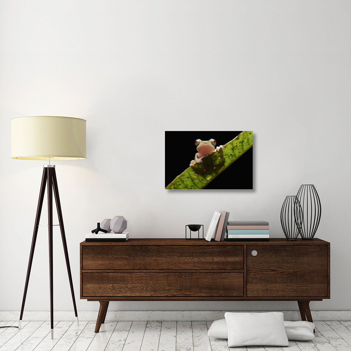 Masked Treefrog, Sarawak, Borneo, Malaysia-Canvas Art-30&quotx20"