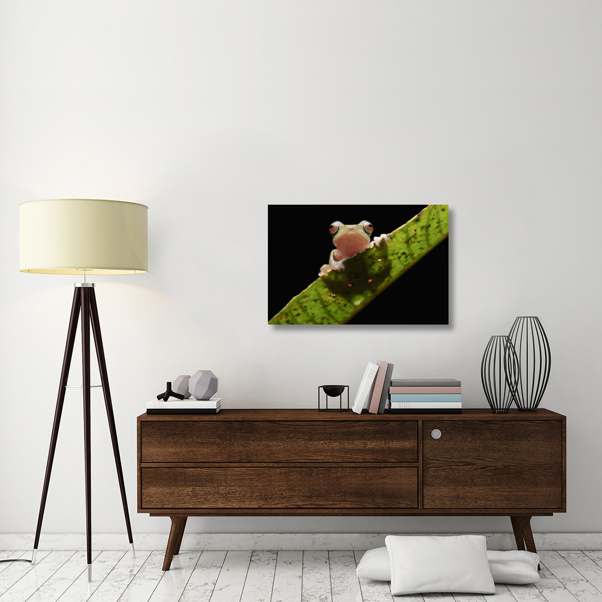 Masked Treefrog, Sarawak, Borneo, Malaysia-Canvas Art-36&quotx24"