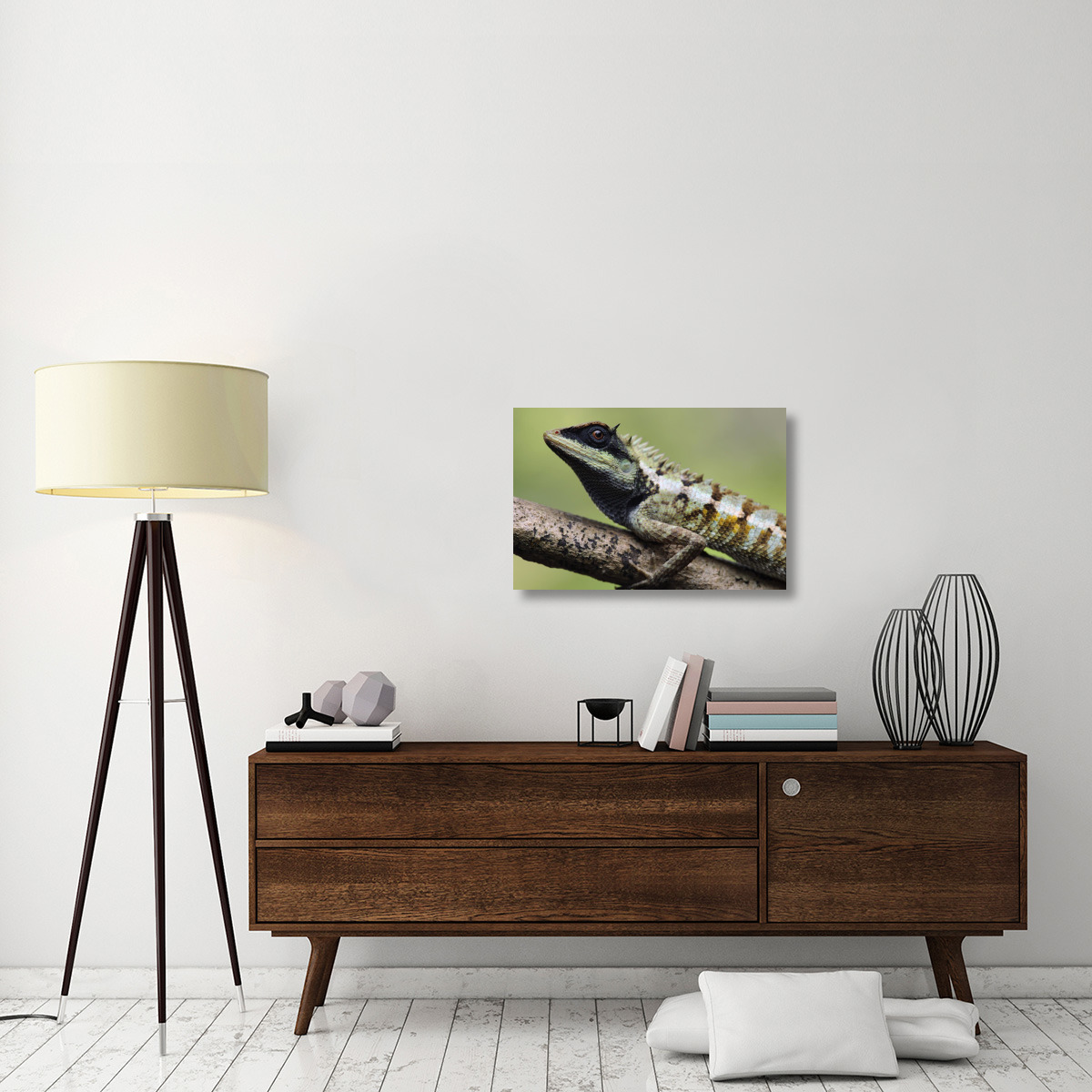 Forest Crested Agama lizard, Krabi, Thailand-Canvas Art-30&quotx20"