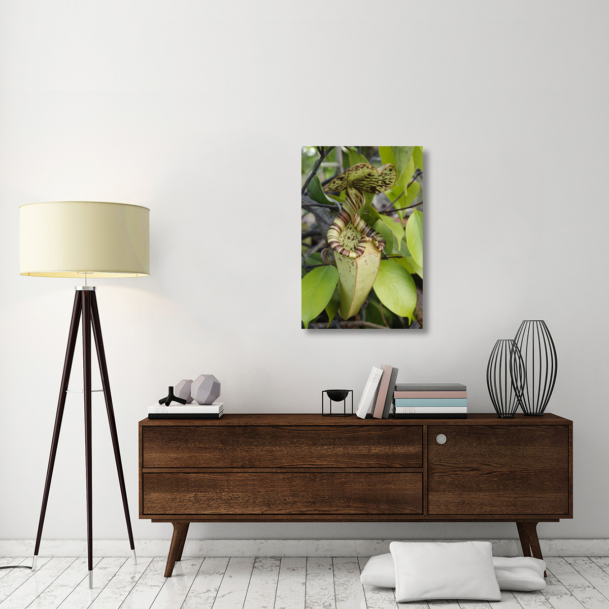 Pitcher Plant pitcher, Brunei, Borneo, Indonesia-Canvas Art-24&quotx36"