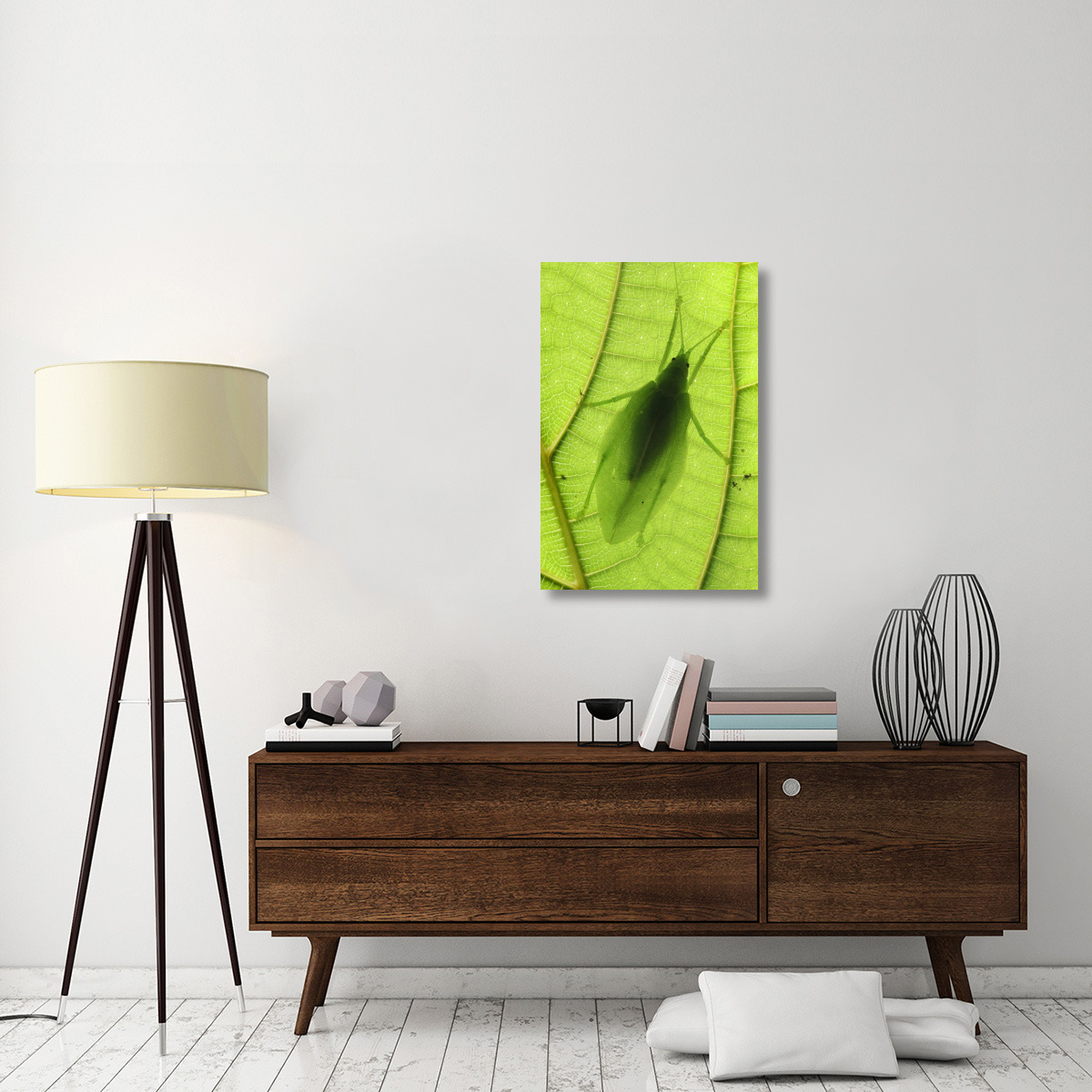 Katydid camouflaged on leaf, Sabah, Borneo, Malaysia-Canvas Art-24&quotx36"