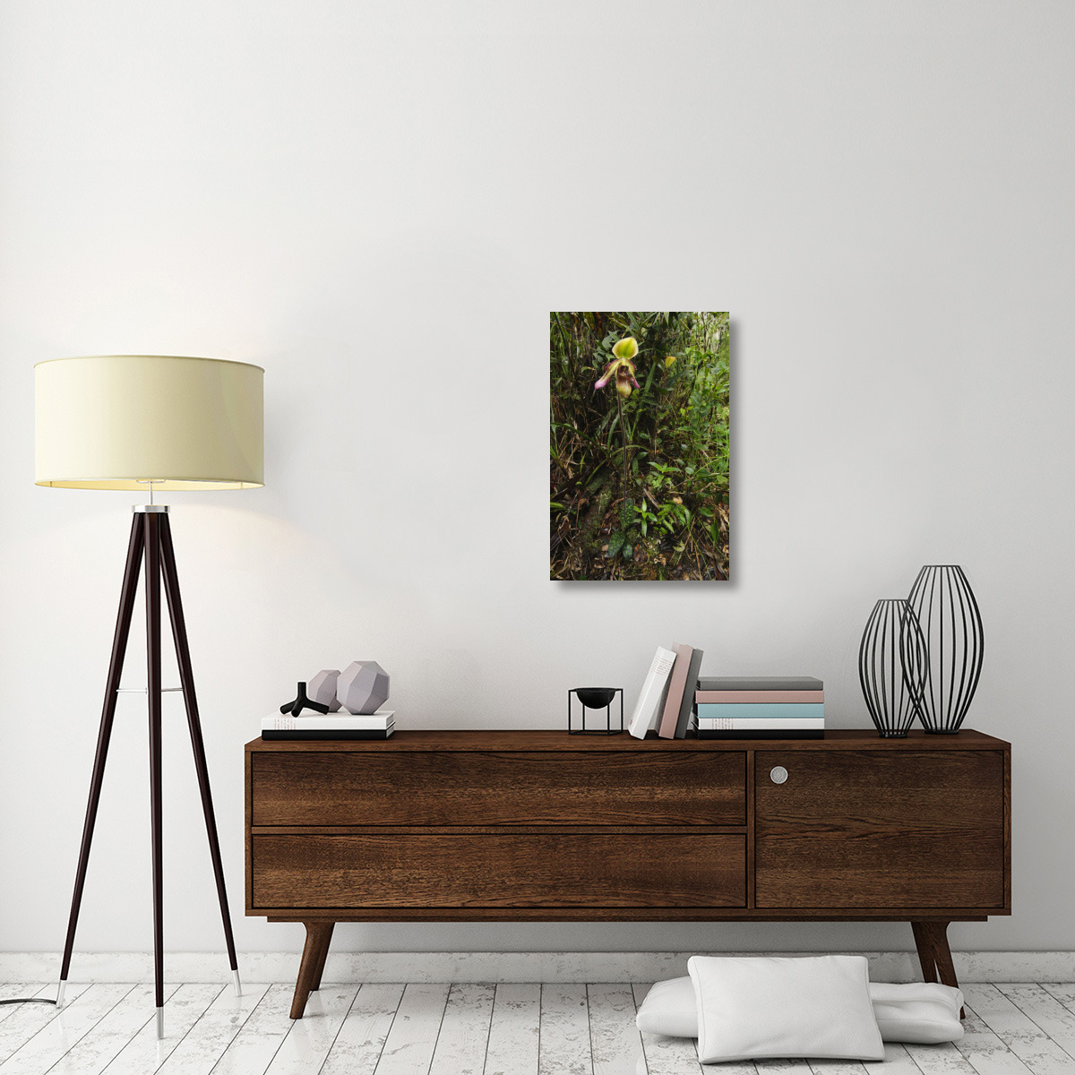 Orchid flower in rainforest, Sabah, Borneo, Malaysia-Canvas Art-20&quotx30"