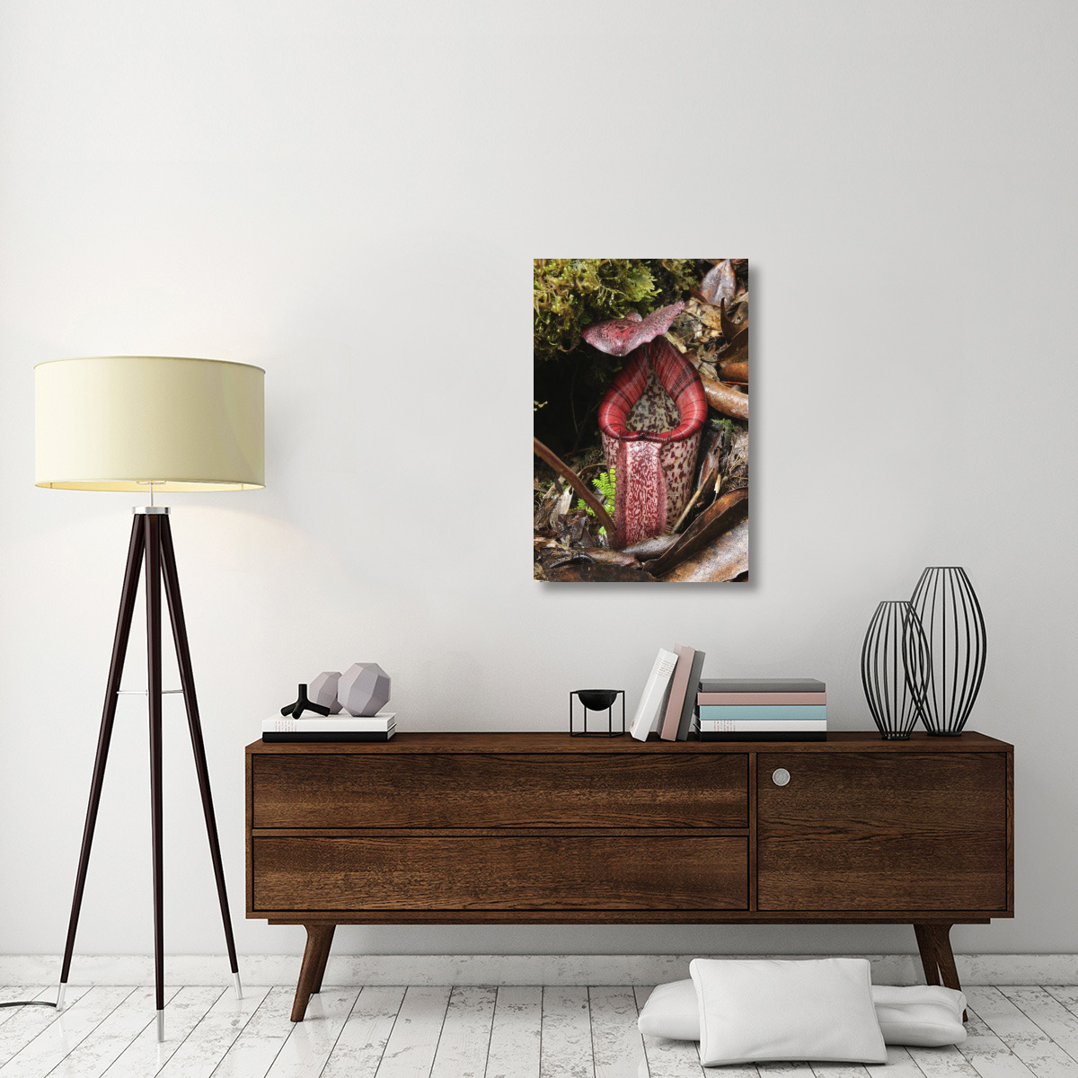 Burbidge&quots Pitcher Plant pitcher, Sabah, Borneo, Malaysia-Canvas Art-24&quotx36"