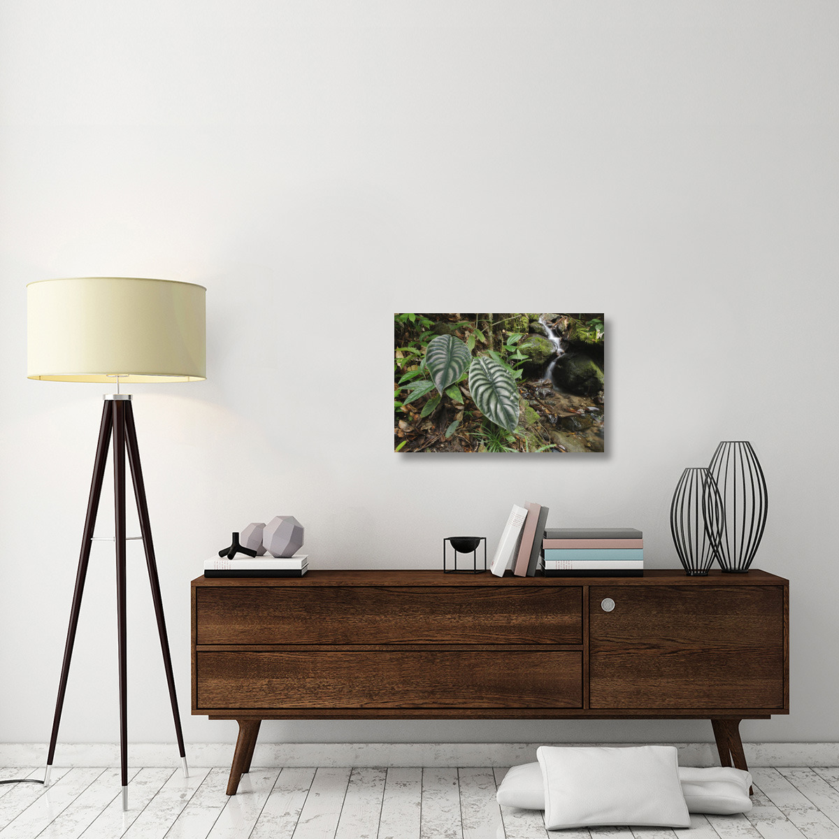 Taro leaves near creek in rainforest, Sabah, Borneo, Malaysia-Canvas Art-30&quotx20"