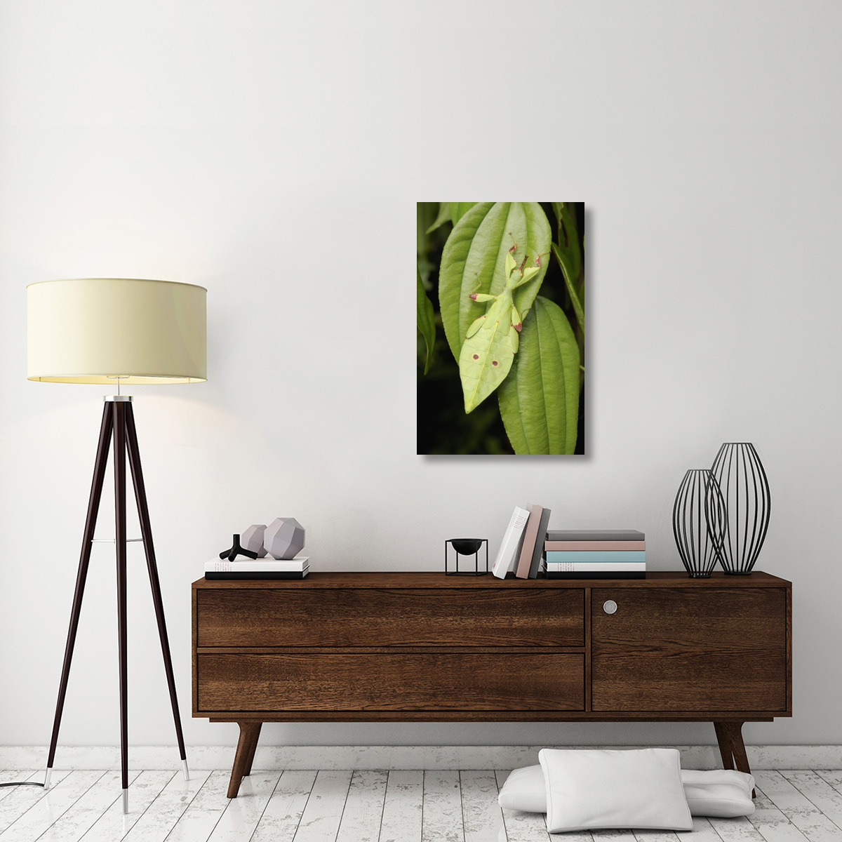 Walking Stick juvenile camouflaged on leaf, Sarawak, Borneo, Malaysia-Canvas Art-24&quotx36"