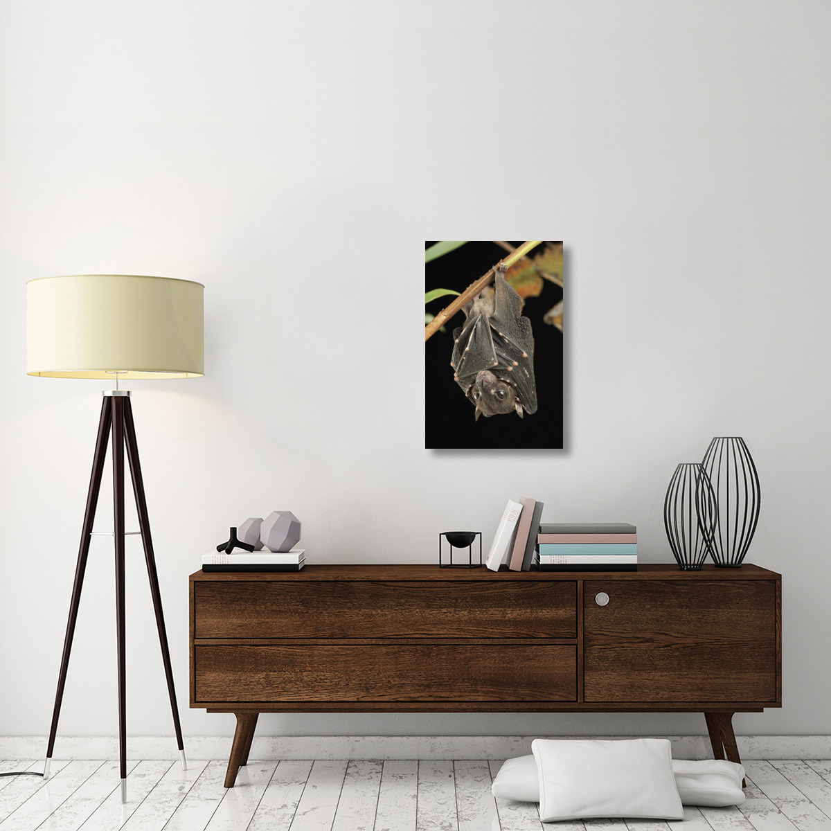 Spotted-winged Fruit Bat roosting, Bukit Sarang Conservation Area, Bintulu, Borneo, Malaysia-Canvas Art-20&quotx30"