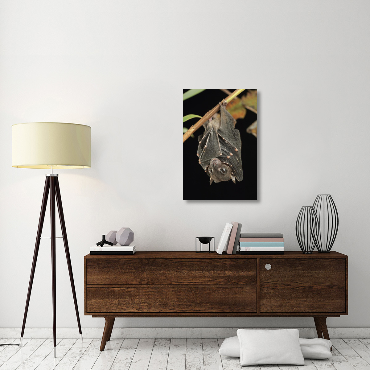 Spotted-winged Fruit Bat roosting, Bukit Sarang Conservation Area, Bintulu, Borneo, Malaysia-Canvas Art-24&quotx36"