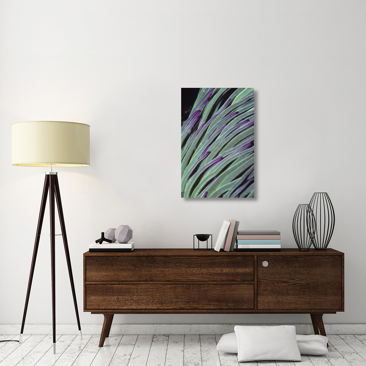 Snakelocks Anemone tentacles waving in ocean current, Europe-Canvas Art-24&quotx36"