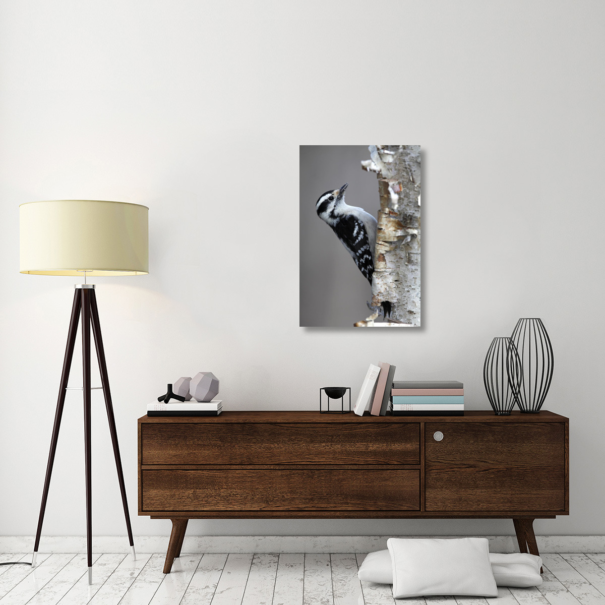 Downy Woodpecker, Canada-Canvas Art-24&quotx36"