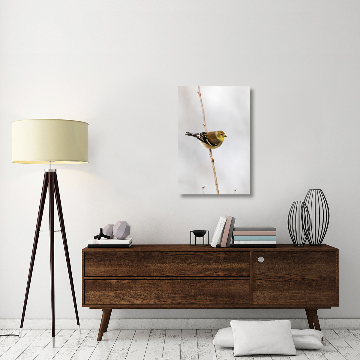 American Goldfinch, Canada-Canvas Art-24&quotx36"