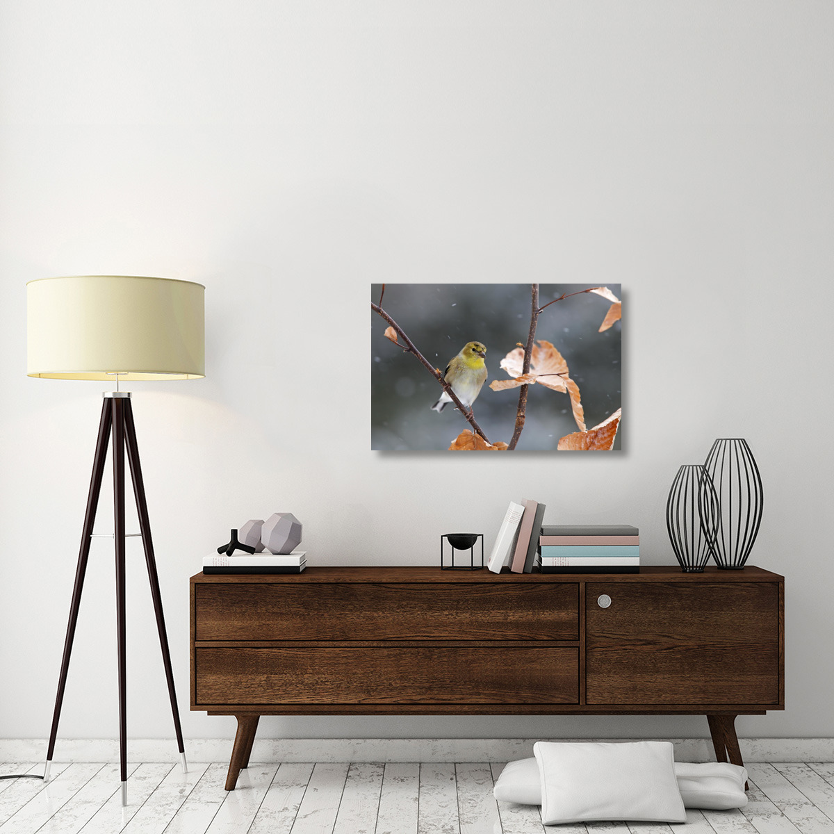 American Goldfinch in winter, Canada-Canvas Art-36&quotx24"