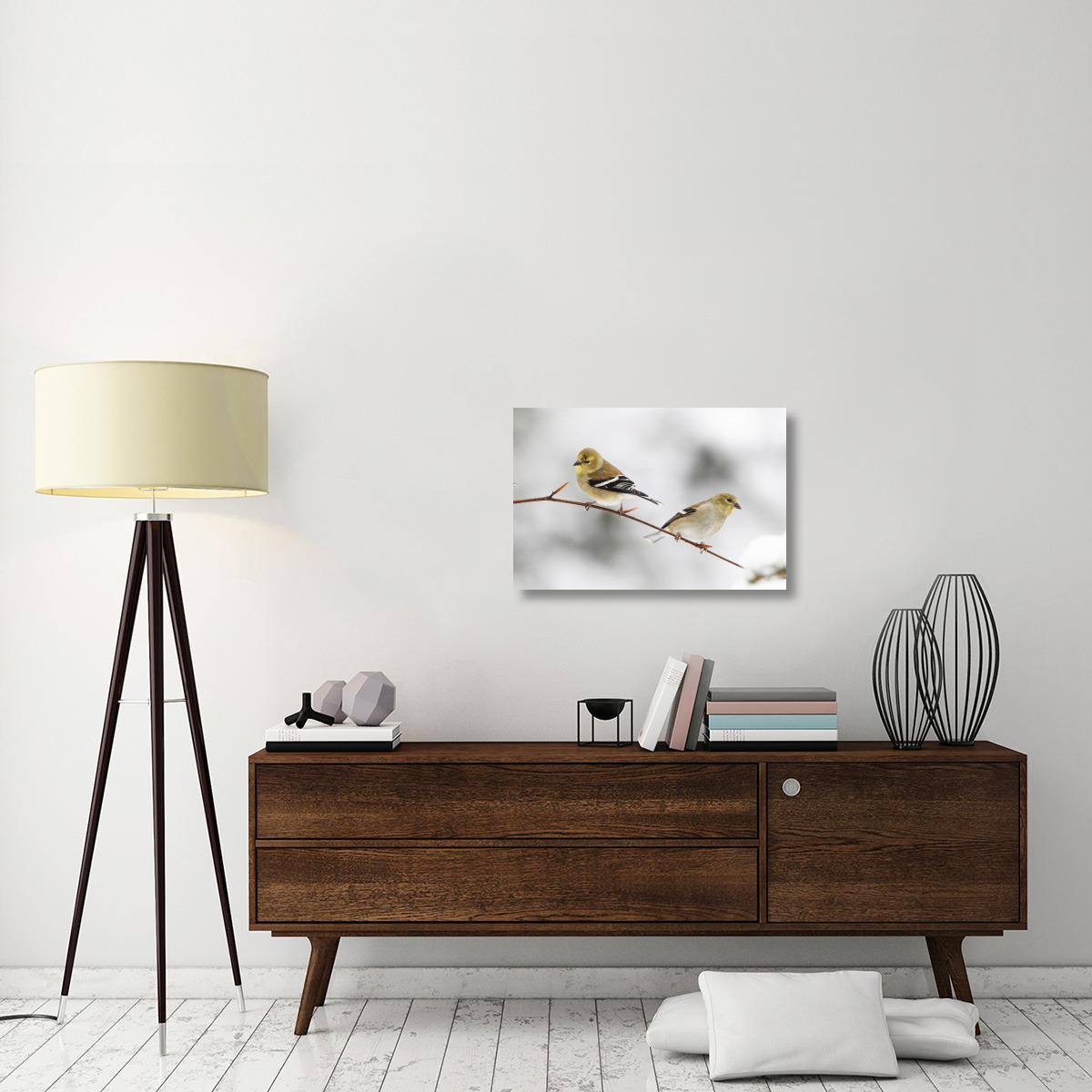 American Goldfinch pair, Nova Scotia, Canada-Canvas Art-30&quotx20"