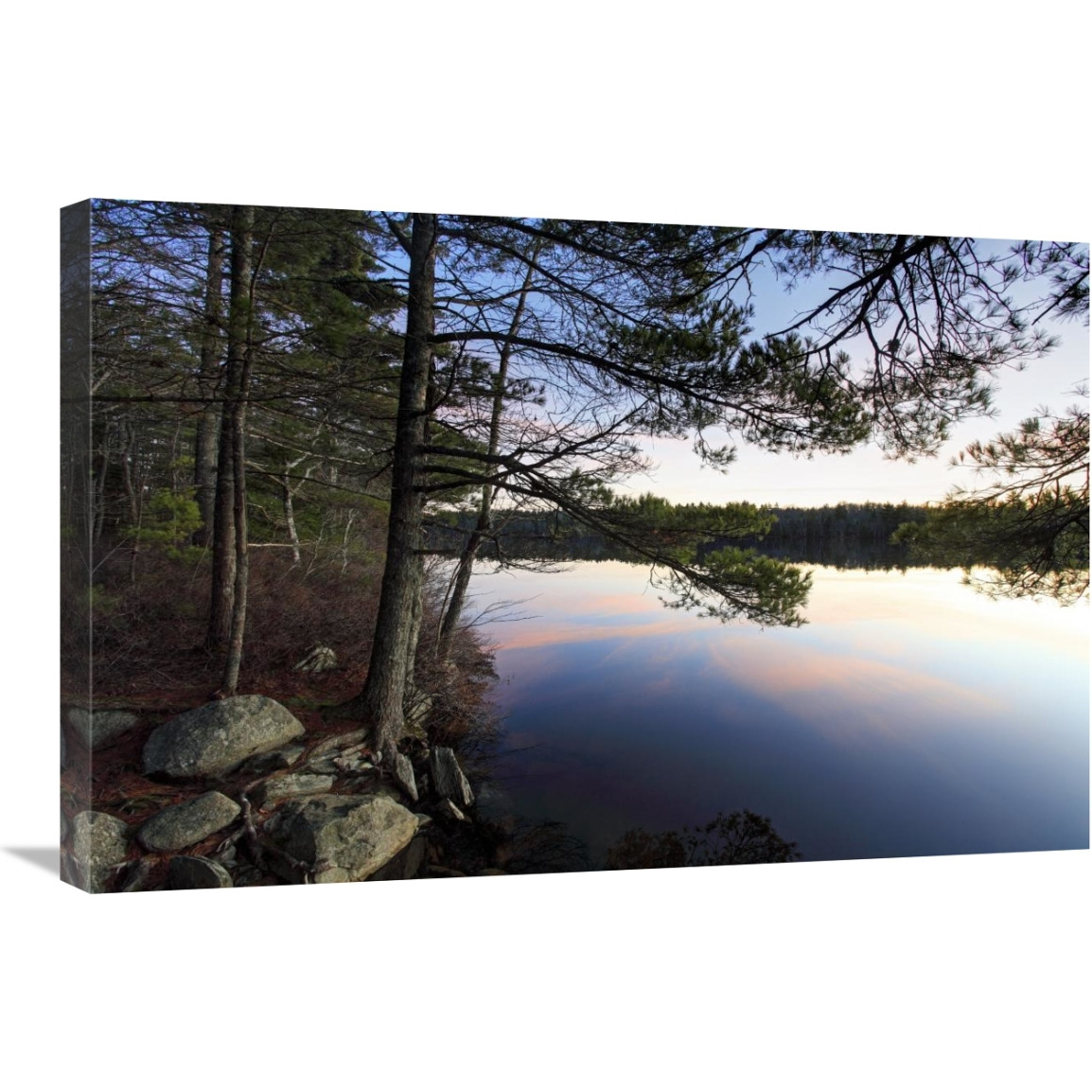 Forest along lake shore at sunset, Kejimkujik National Park, Nova Scotia, Canada-Canvas Art-30&quotx20"