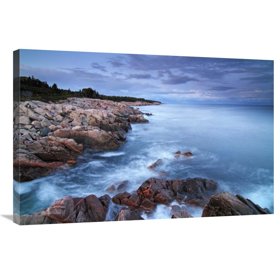 Coastal granite rocks, Cape Breton Highlands National Park, Gulf of St. Lawrence, Nova Scotia, Canada-Canvas Art-36&quotx24"